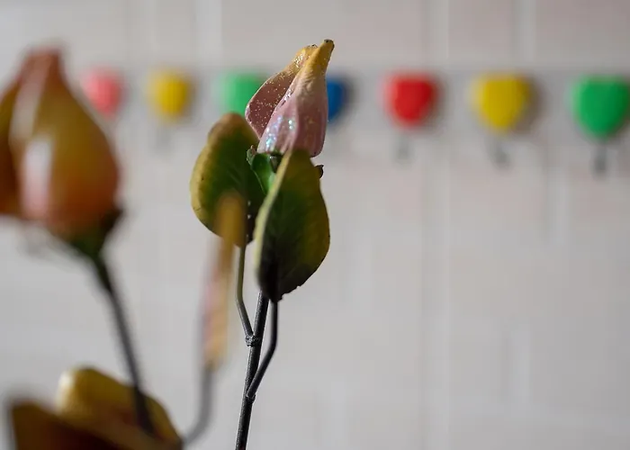 La Casa Di Alice Casa de Férias Cisternino